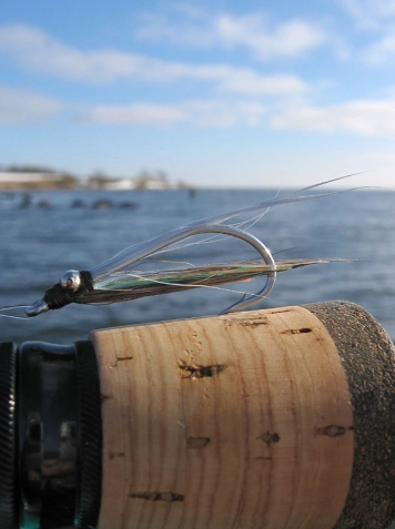 Skinny minnow Skinny minnow