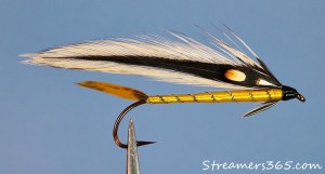 Golden Darter - Darren MacEachern