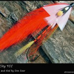 #146 Kansas City - Team Colors Collection - Don Soar #146 Kansas City - Team Colors Collection - Don Soar