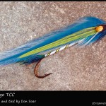 #344 San Diego - Team Colors Collection - Don Soar #344 San Diego - Team Colors Collection - Don Soar