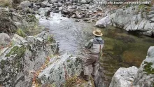 Video thumb for More Korean lenok