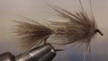 Video thumb for Sparrow Nymph