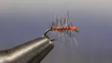 Video thumb for Orange Asher