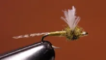 Video thumb for Tuft and Tail Patterns