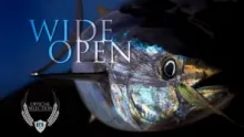 Video thumb for Wide Open