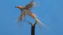 Video thumb for AP Fluff