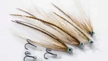 Video thumb for Tube Sandeel Flatwing
