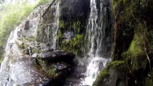 Video thumb for Fly Fishing Tasmania Southern Rivers 2013