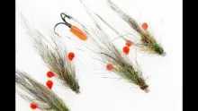 Video thumb for Rainbow Pig Tube Shrimp