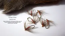 Video thumb for Partridge & Orange