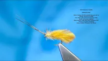 Video thumb for CDC Cinnamon Caddis