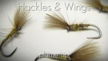 Video thumb for Plume Tip