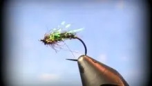 Video thumb for Showcasing Peacock Dubbing