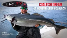 Video thumb for Coalfish Dream