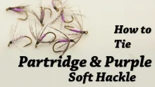 Video thumb for Partridge and Purple