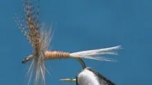 Video thumb for Red Quill