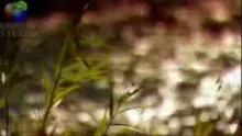 Video thumb for Healing Waters