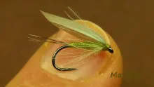 Video thumb for Blue Winged Olive
