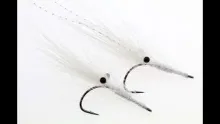 Video thumb for Polar Alive Shrimp
