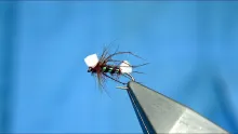 Video thumb for Shipman's Claret Hopper
