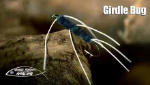 Video thumb for Girdle Bug
