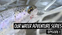 Video thumb for Wild Trout in the Boonies