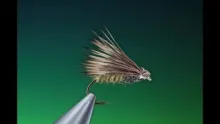 Video thumb for Super Pupa variant