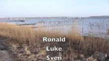Video thumb for Baltic Sea Trout