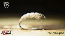 User submitted picture: Natural Czech Nymph