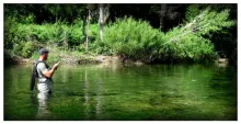 User submitted picture: My brother the grayling w...
