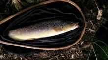 User submitted picture: Nice Start to the Season ...