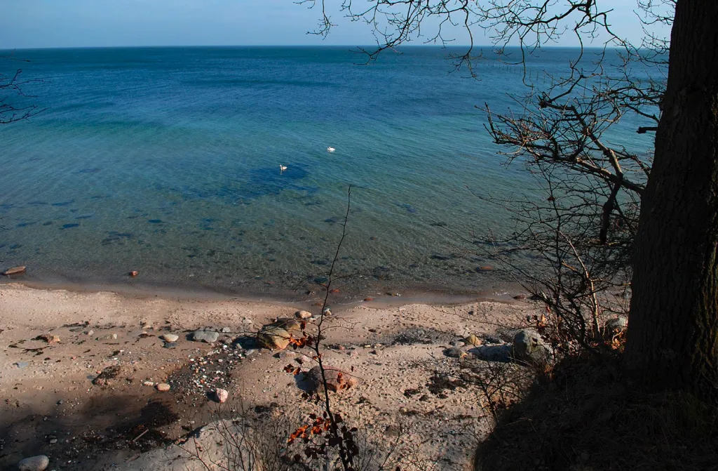 Clear and calm - The coastal water is often calm and clear. This is at Bogeskoven on Stevns