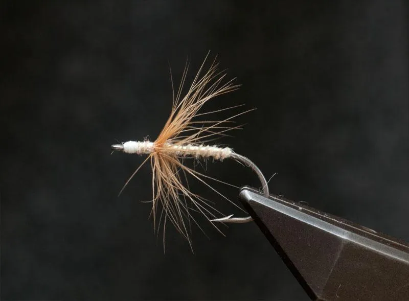 PK Mysis Variant - The finished fly with a fairly pronounced head. <a href=\"/patterns/pk-mysis-variant/\">See materials and full pattern description</a>.